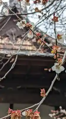 東北院(京都府)