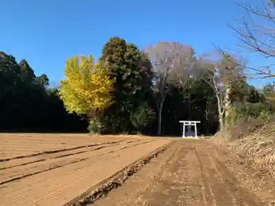 明治神宮(千葉県)