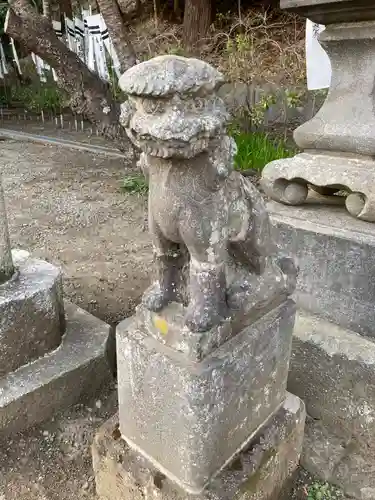 白旗神社(西御門)の狛犬