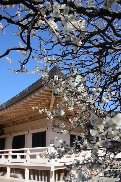 豪徳寺のその他建物