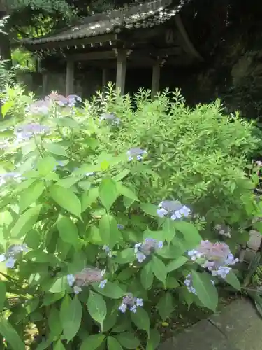 安國論寺（安国論寺）の自然