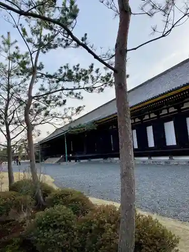 蓮華王院（三十三間堂）(京都府)