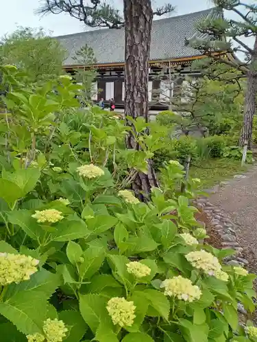 蓮華王院（三十三間堂）(京都府)