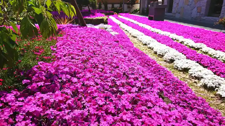 寿量山 速成寺の自然