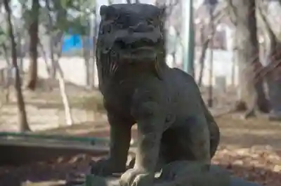 桜川御嶽神社（上板橋御嶽神社）の狛犬
