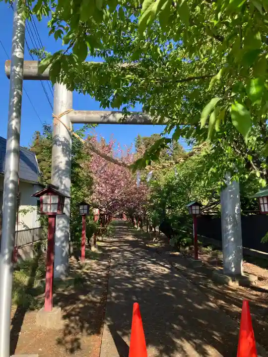 橿原神社の{uncategorized: "未分類", other: "その他", undefined: "問題あり", building: "その他建物", grave: "お墓", sacred_gate: "鳥居", guardian: "狛犬", statue: "像", buddha: "仏像", history: "歴史", nature: "自然", garden: "庭園", animal: "動物", pagoda: "塔", temizu: "手水舎", mountain_gate: "山門・神門", sanctuary: "本殿・本堂", subordinate: "末社・摂社", art: "芸術", scenery: "景色", jizo: "地蔵", ema: "絵馬", goshuin: "御朱印", omikuji: "おみくじ", items: "授与品その他", amulet: "お守り", goshuincho: "御朱印帳", eats: "食事", festival: "お祭り", votive_dance: "神楽", shichigosan: "七五三参", wedding: "結婚式", experience: "体験その他", initially: "初詣", around: "周辺", anti_infection: "感染症対策"}