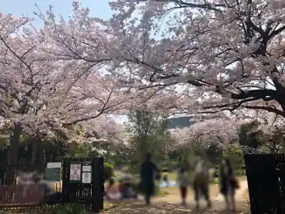 おりひめ神社の自然