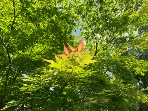 足羽神社(福井県)