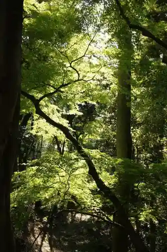 三光稲荷神社の庭園