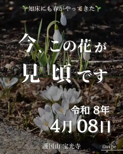 宝光寺(北海道)