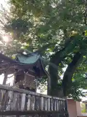 熊野神社（八百津）の本殿