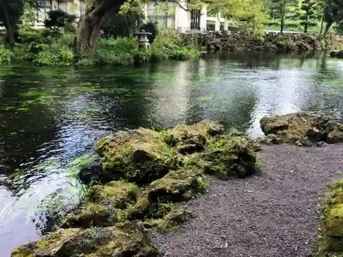 富士山本宮浅間大社(静岡県)