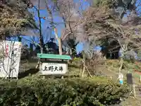 上野大佛(東京都)