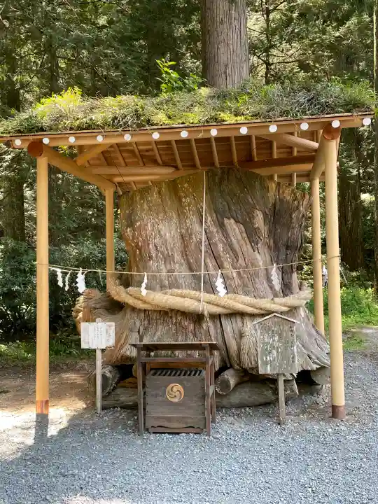 小國神社の{uncategorized: "未分類", other: "その他", undefined: "問題あり", building: "その他建物", grave: "お墓", sacred_gate: "鳥居", guardian: "狛犬", statue: "像", buddha: "仏像", history: "歴史", nature: "自然", garden: "庭園", animal: "動物", pagoda: "塔", temizu: "手水舎", mountain_gate: "山門・神門", sanctuary: "本殿・本堂", subordinate: "末社・摂社", art: "芸術", scenery: "景色", jizo: "地蔵", ema: "絵馬", goshuin: "御朱印", omikuji: "おみくじ", items: "授与品その他", amulet: "お守り", goshuincho: "御朱印帳", eats: "食事", festival: "お祭り", votive_dance: "神楽", shichigosan: "七五三参", wedding: "結婚式", experience: "体験その他", initially: "初詣", around: "周辺", anti_infection: "感染症対策"}