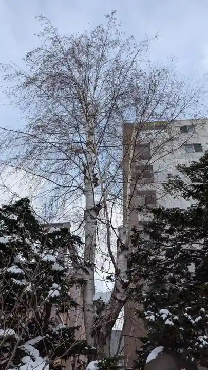 豊平神社の自然