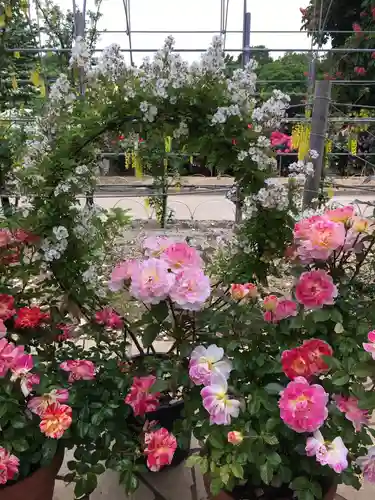 星宮神社のその他建物