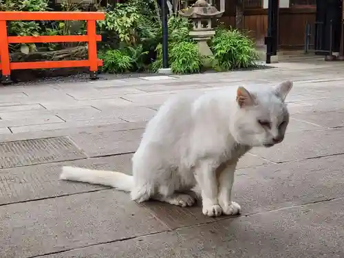 愛宕神社(東京都)