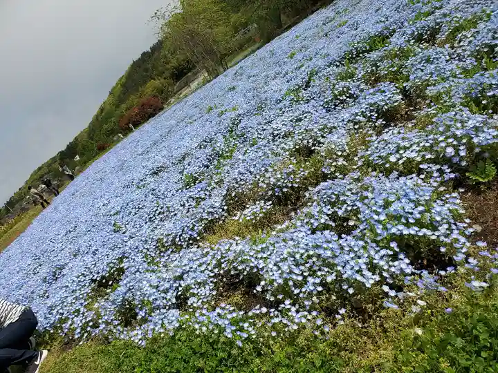 南湖神社(福島県)