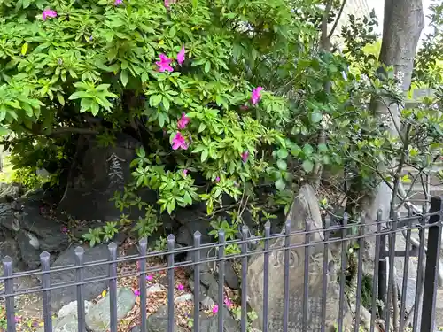 亀戸浅間神社(東京都)
