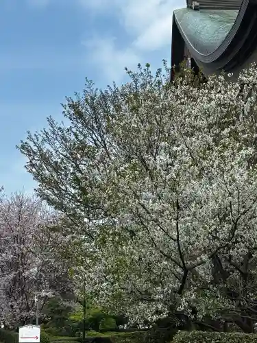総持寺の{uncategorized: "未分類", other: "その他", undefined: "問題あり", building: "その他建物", grave: "お墓", sacred_gate: "鳥居", guardian: "狛犬", statue: "像", buddha: "仏像", history: "歴史", nature: "自然", garden: "庭園", animal: "動物", pagoda: "塔", temizu: "手水舎", mountain_gate: "山門・神門", sanctuary: "本殿・本堂", subordinate: "末社・摂社", art: "芸術", scenery: "景色", jizo: "地蔵", ema: "絵馬", goshuin: "御朱印", omikuji: "おみくじ", items: "授与品その他", amulet: "お守り", goshuincho: "御朱印帳", eats: "食事", festival: "お祭り", votive_dance: "神楽", shichigosan: "七五三参", wedding: "結婚式", experience: "体験その他", initially: "初詣", around: "周辺", anti_infection: "感染症対策"}