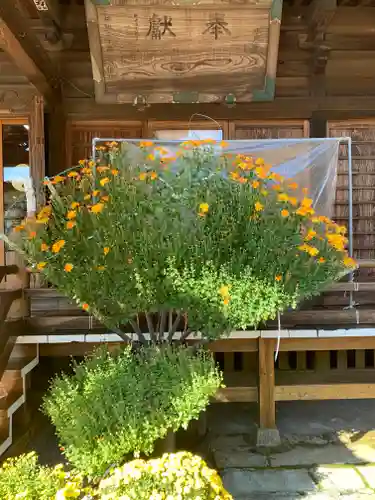常陸第三宮　吉田神社の本殿・本堂