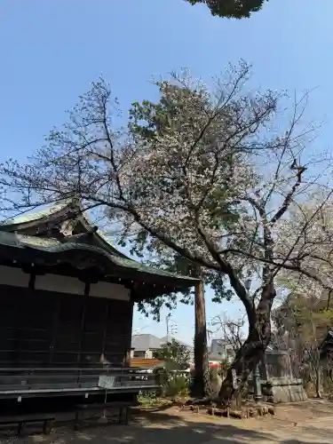 篠原八幡神社の{uncategorized: "未分類", other: "その他", undefined: "問題あり", building: "その他建物", grave: "お墓", sacred_gate: "鳥居", guardian: "狛犬", statue: "像", buddha: "仏像", history: "歴史", nature: "自然", garden: "庭園", animal: "動物", pagoda: "塔", temizu: "手水舎", mountain_gate: "山門・神門", sanctuary: "本殿・本堂", subordinate: "末社・摂社", art: "芸術", scenery: "景色", jizo: "地蔵", ema: "絵馬", goshuin: "御朱印", omikuji: "おみくじ", items: "授与品その他", amulet: "お守り", goshuincho: "御朱印帳", eats: "食事", festival: "お祭り", votive_dance: "神楽", shichigosan: "七五三参", wedding: "結婚式", experience: "体験その他", initially: "初詣", around: "周辺", anti_infection: "感染症対策"}