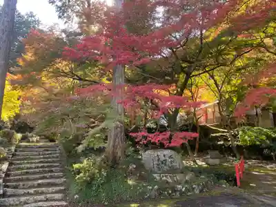 小新屋観音(兵庫県)