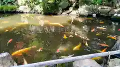 楽法寺（雨引観音）(茨城県)