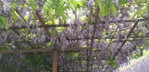 笠間稲荷神社の庭園