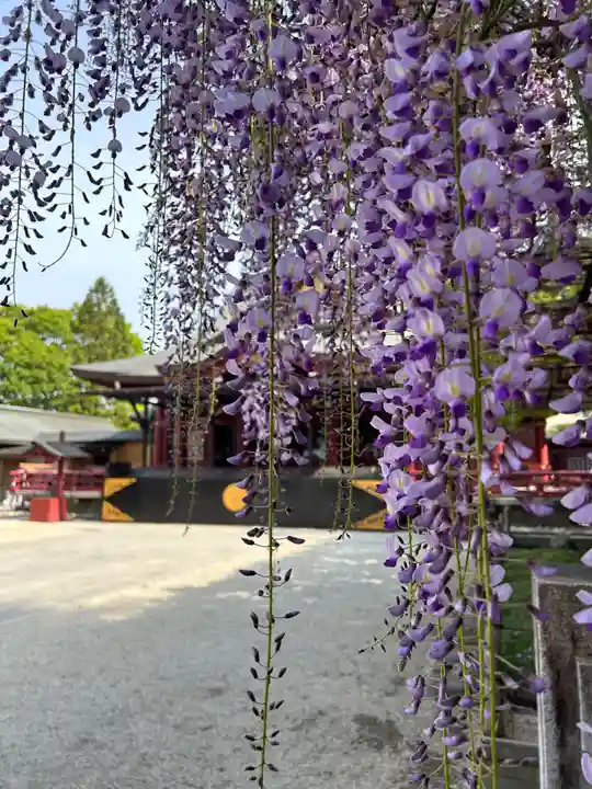 笠間稲荷神社の自然