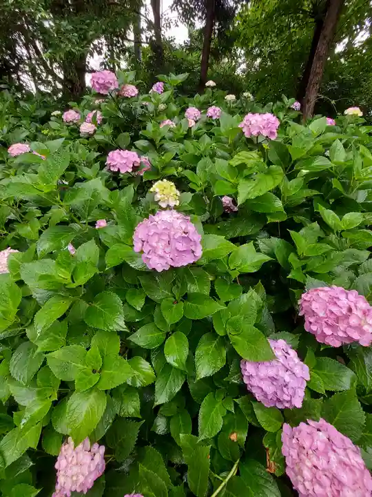 御裳神社(愛知県)