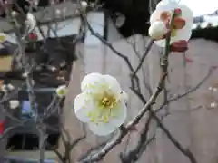 菅原天満宮（菅原神社）の自然