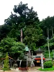 諏訪神社の建物その他