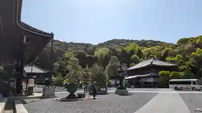 知恩院(京都府)