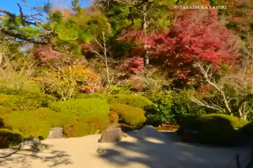 明月院(神奈川県)