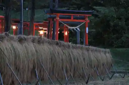 高屋敷稲荷神社の景色