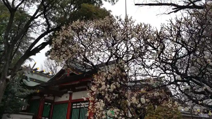 居木神社の自然