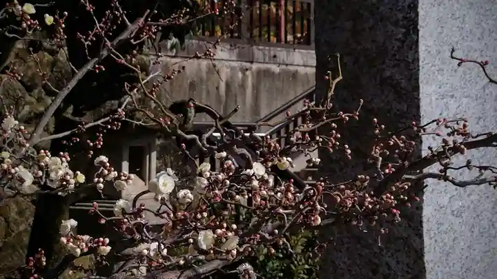 岩津天満宮(愛知県)