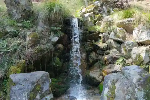 日吉大社の自然