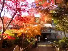 本土寺の自然