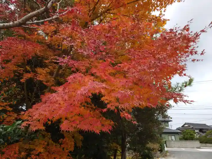 大神山神社本宮(鳥取県)