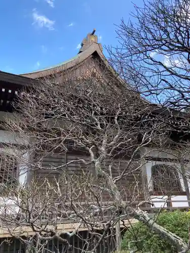 妙高院(神奈川県)