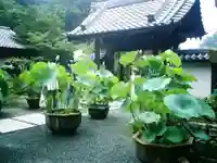 覚園寺のその他建物