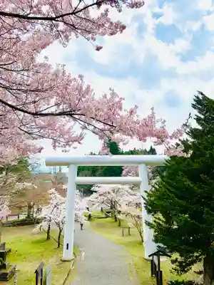 土津神社|こどもと出世の神さまの鳥居