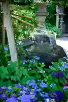 長谷寺の手水舎