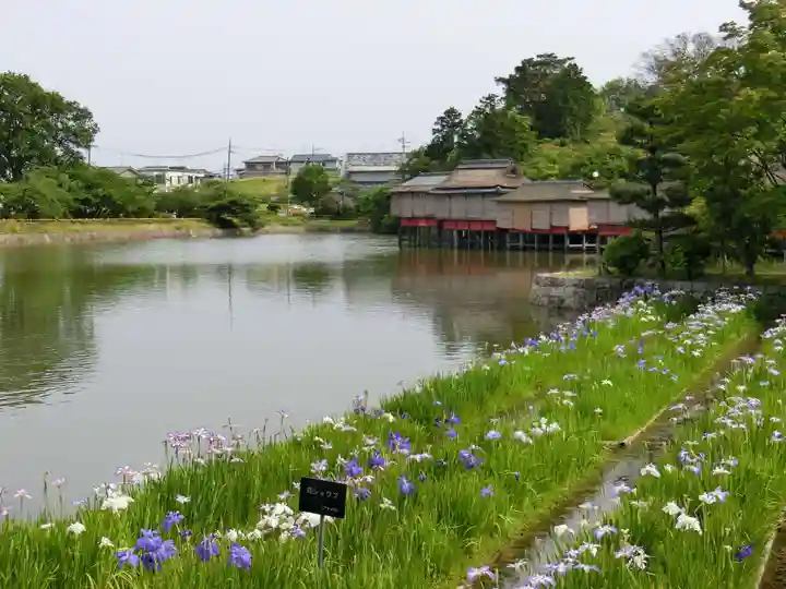長岡天満宮の庭園