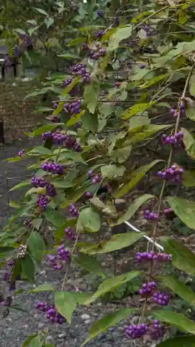 平野神社(京都府)