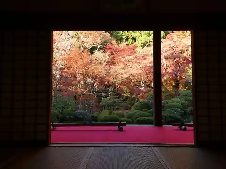 金剛輪寺(滋賀県)