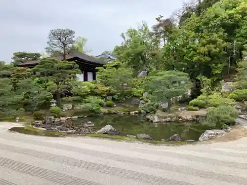 仁和寺の庭園