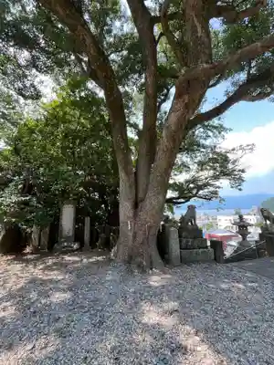 沼島八幡神社(兵庫県)